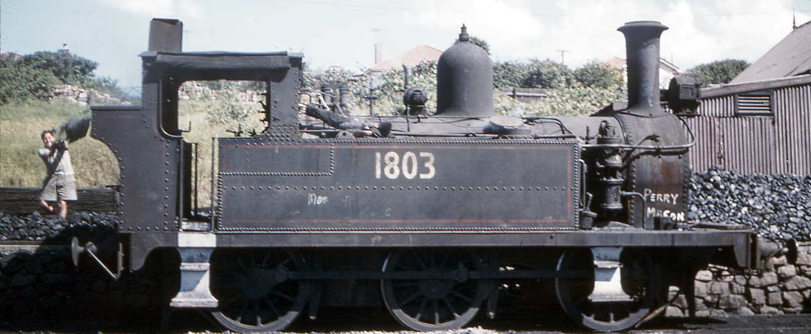 NSWGR 18 Class being coaled by hand at Port Kembla in 1961